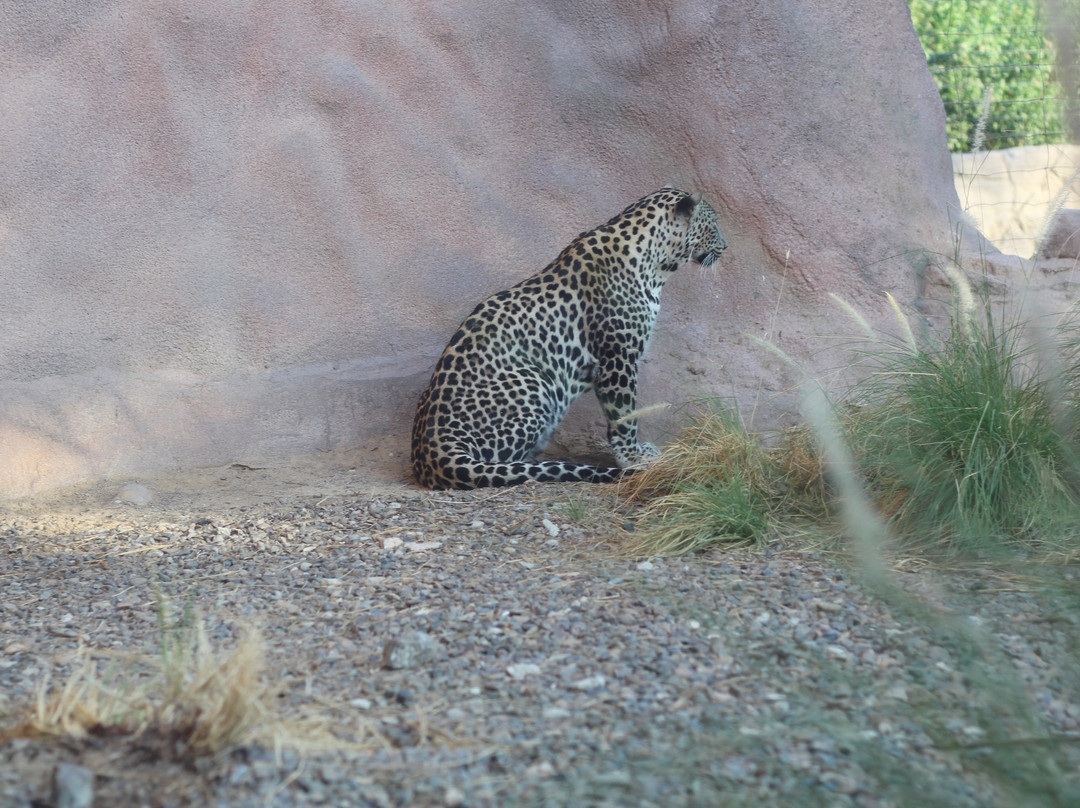 Arabian Wildlife Center-沙迦必去景点