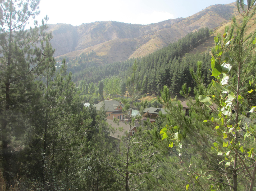 Varzob (Dushanbinka) River-杜尚别必去景点
