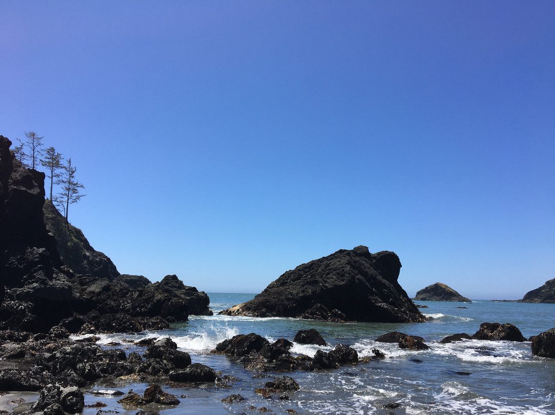 College Cove Beach景点图片