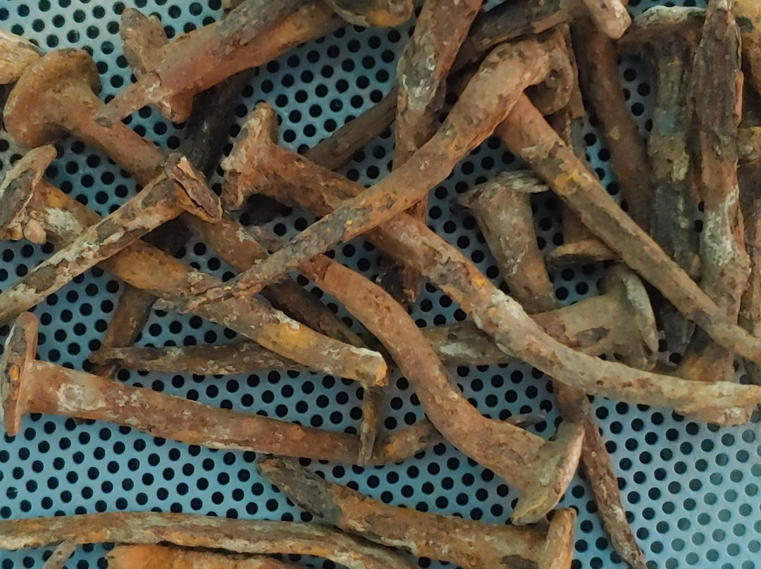 The Ancient Galilee Boat-Ginosar必去景点