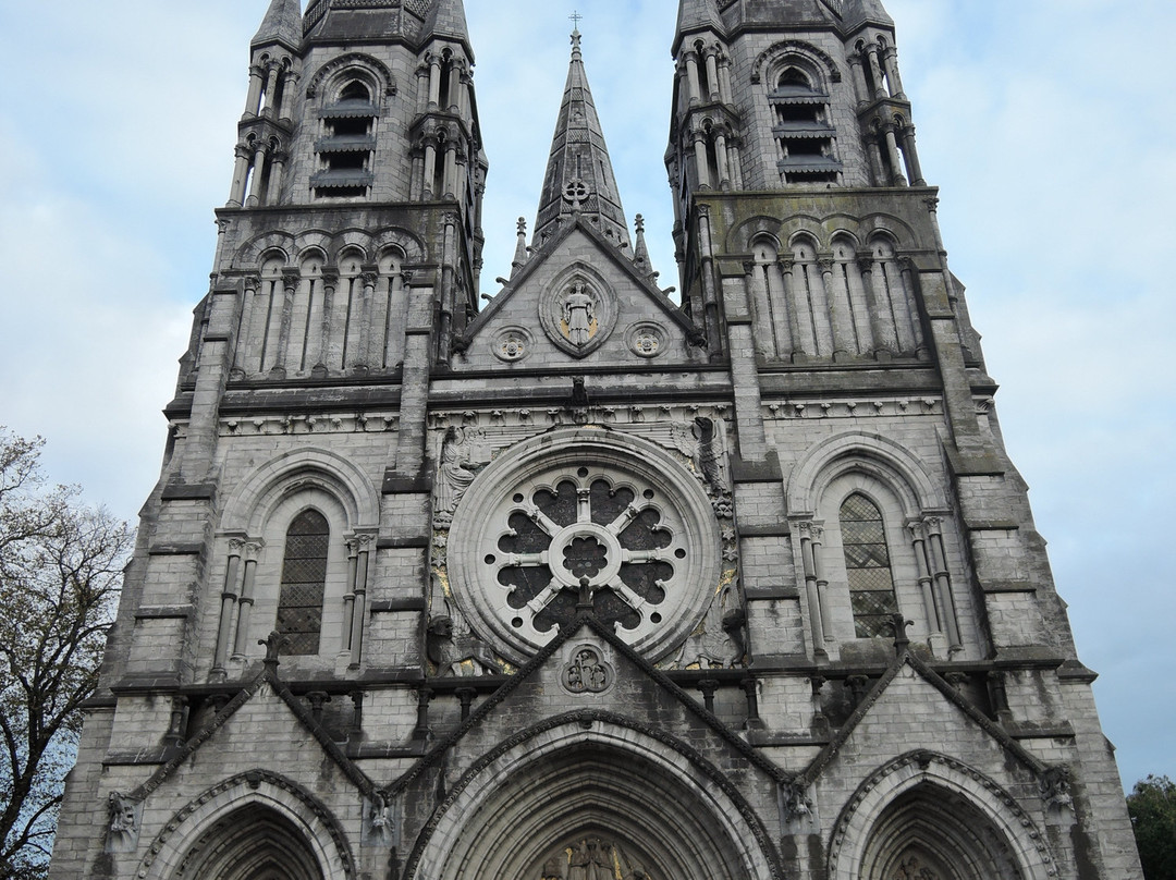 St Fin Barre's Cathedral-科克必去景点