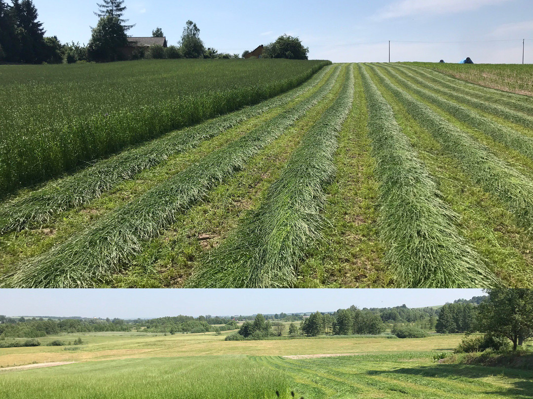 Alpaki Roztocze-Zaburze必去景点