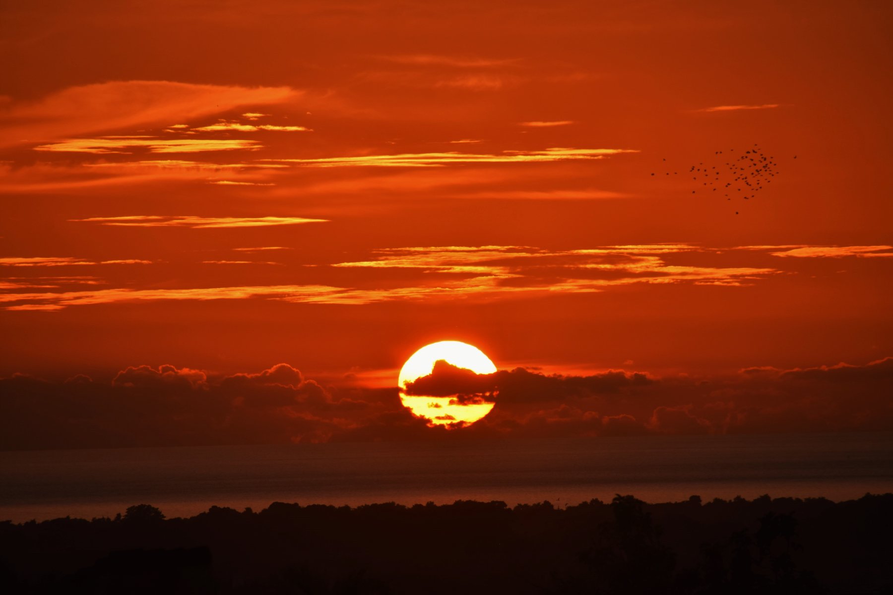 Casa Colonial Torrado 1830-酒店景观