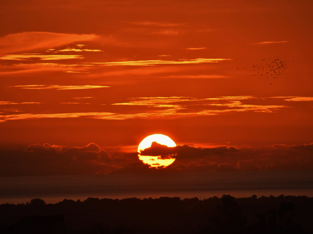Casa Colonial Torrado 1830主图