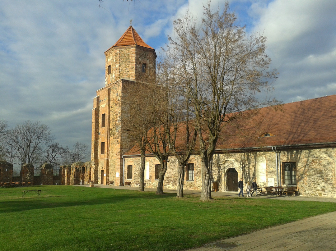 Toszek Castle景点图片