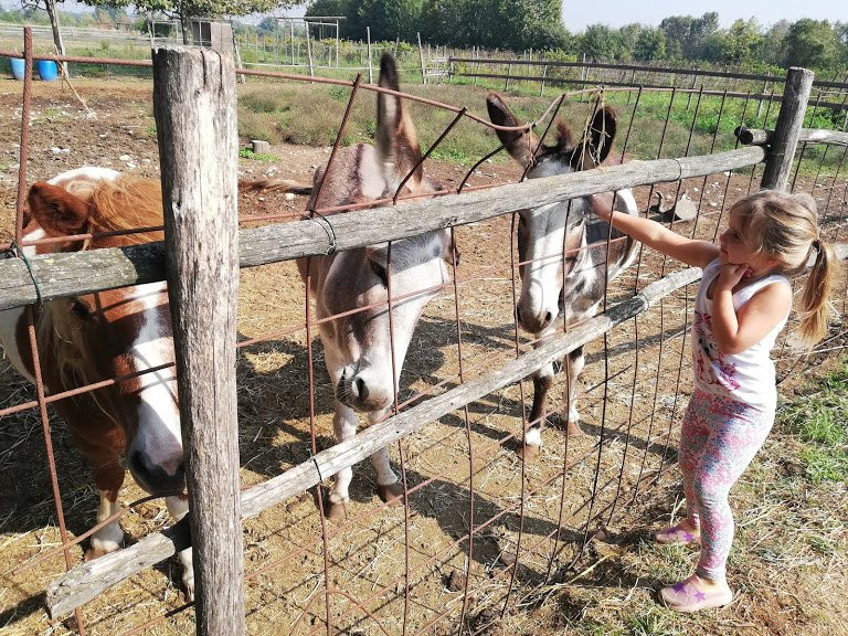 Agriturismo Cascina Boschi主图