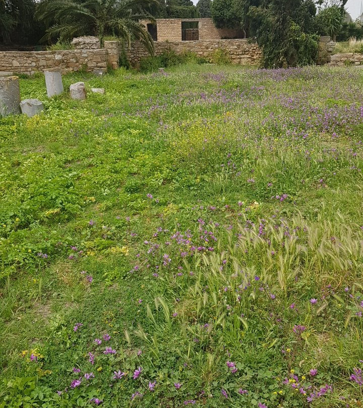 La Basilique De Saint Cyprien-迦太基必去景点