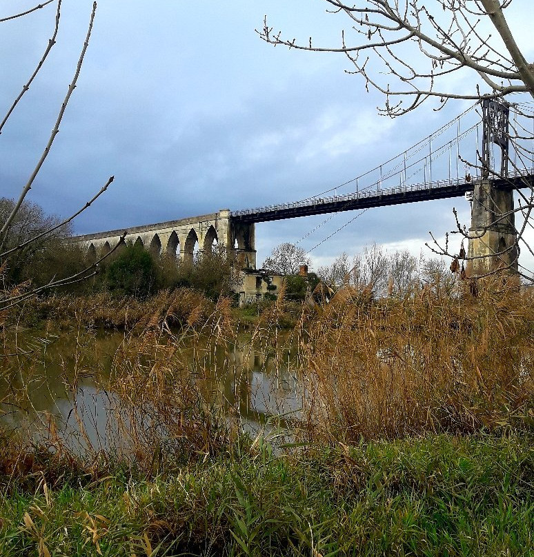 Pont Suspendu Tonnay-Charente景点图片