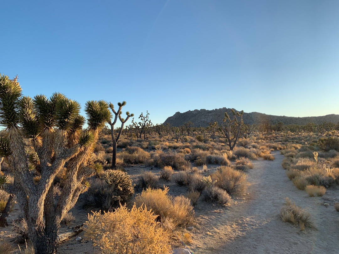 Teutonia Peak-Cima必去景点