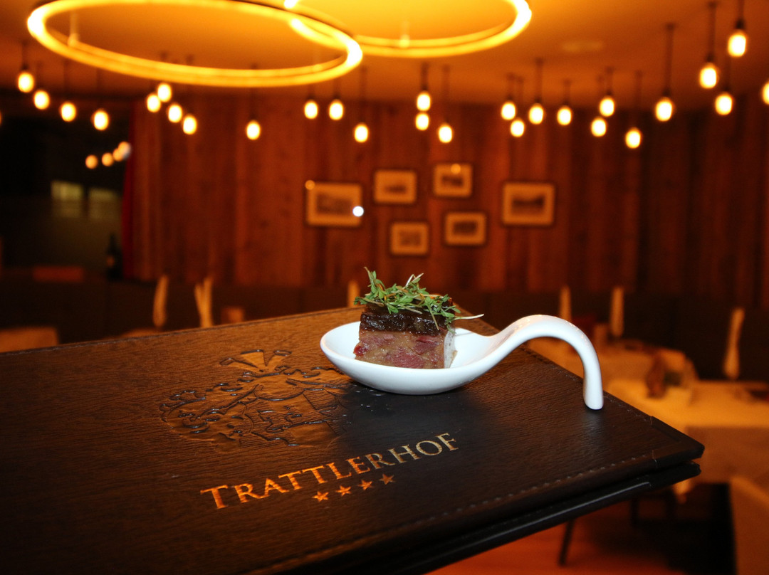 Hotel Gut Trattlerhof & Chalets主图