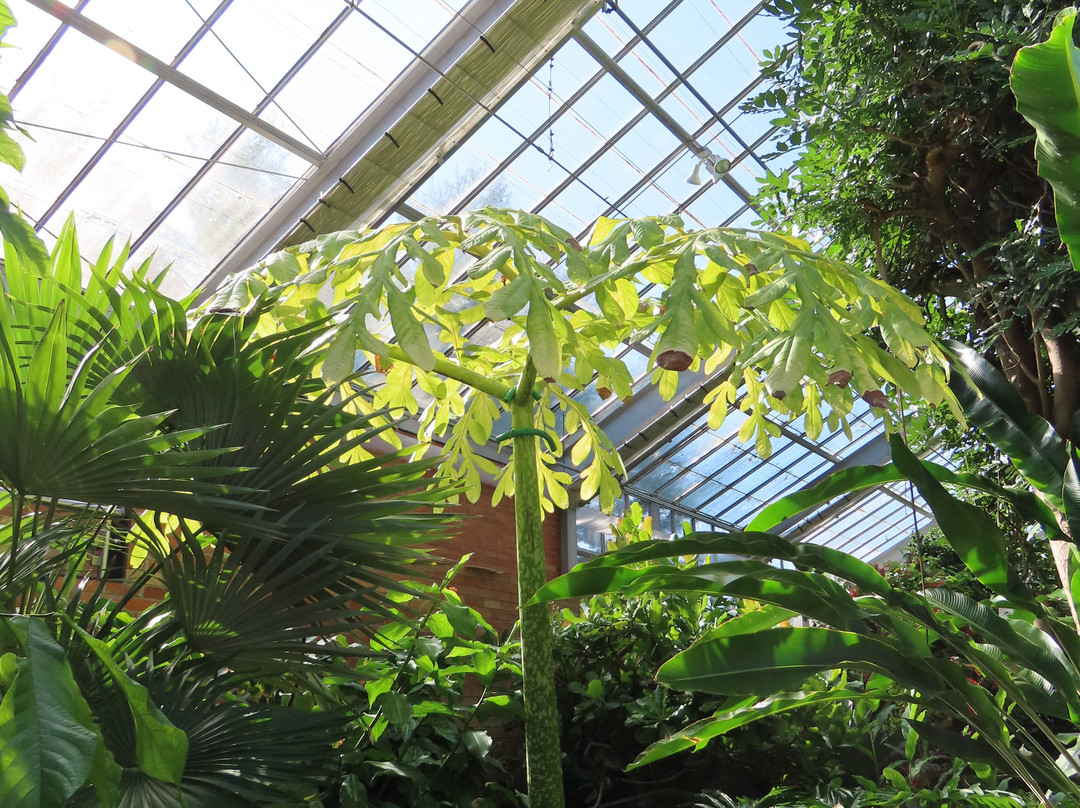 Matthaei Botanical Gardens-安娜堡必去景点