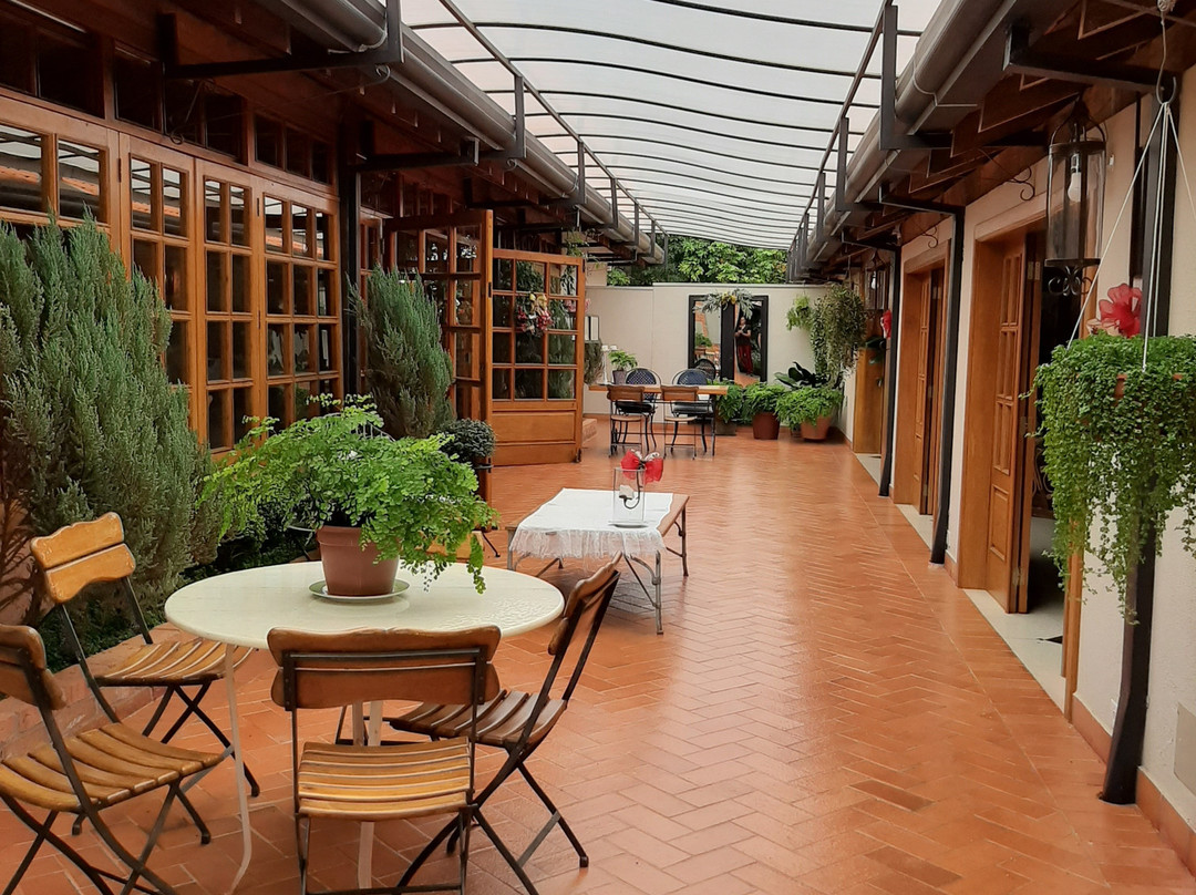 Bosque da Neblina主图