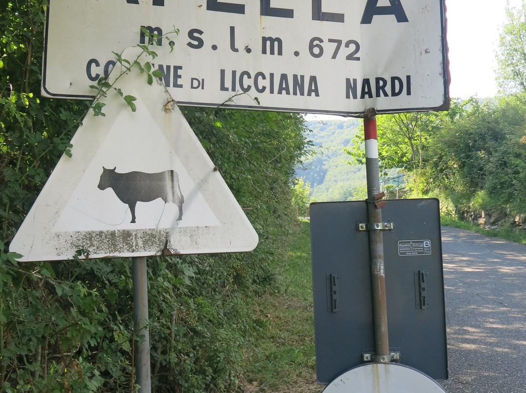 Borgo Medievale di Apella景点图片