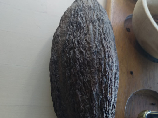 Taino Gourmet And Oliver Lab-蓬塔卡纳必去景点