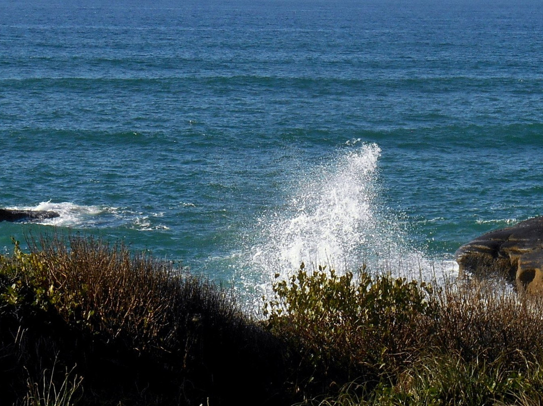 Fireside Motel主图