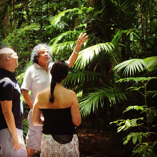 Walkabout Cultural Adventures-Daintree必去景点