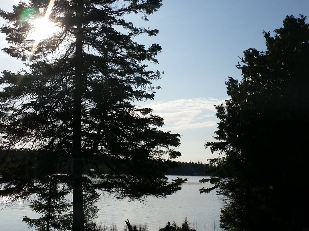 Dancing Waters Bed & Breakfast主图