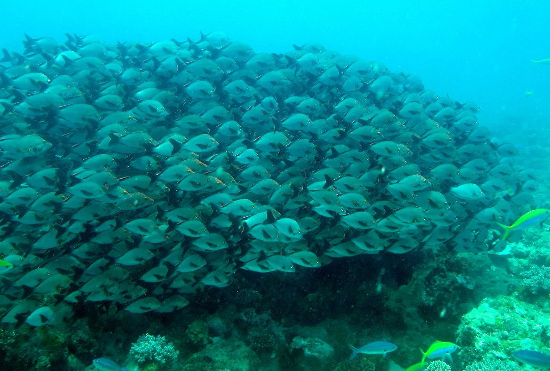 Indian Ocean Abyss景点图片