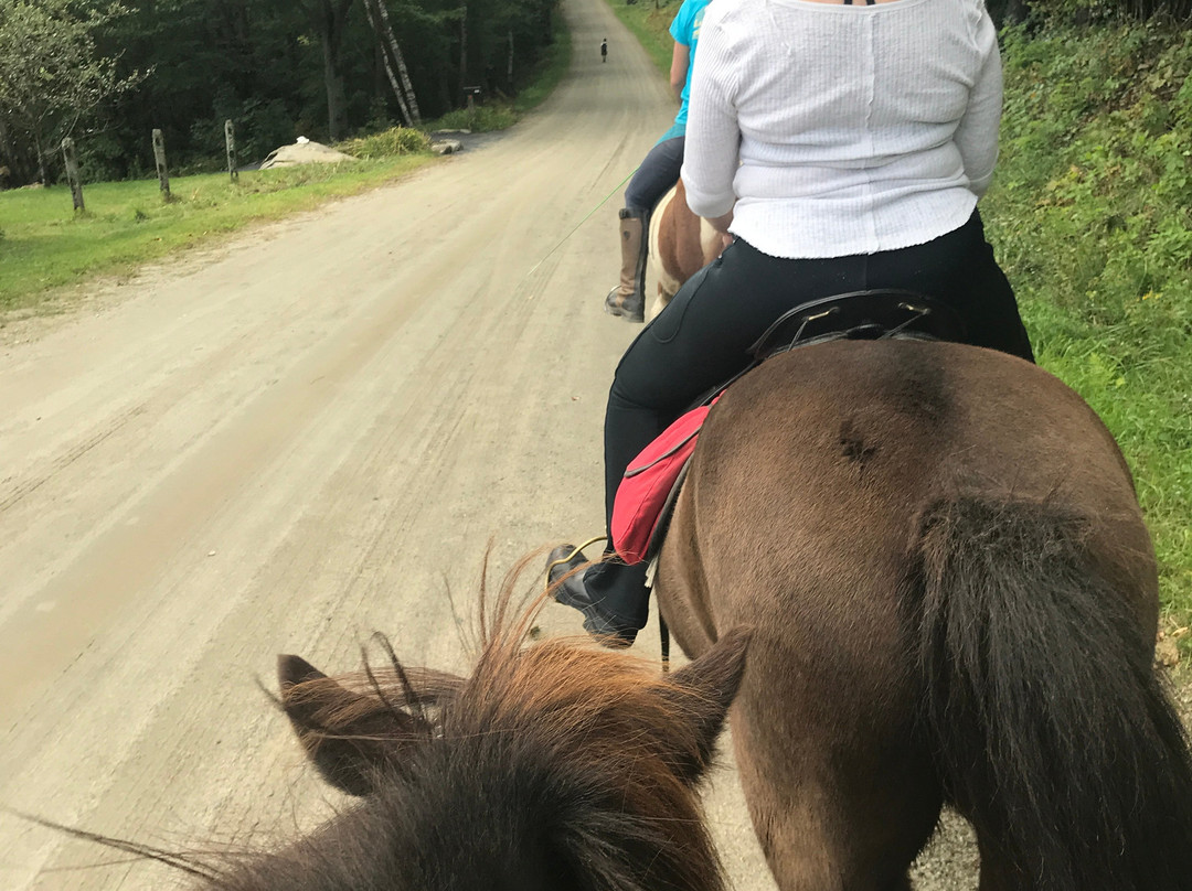 Moretown旅游攻略图片