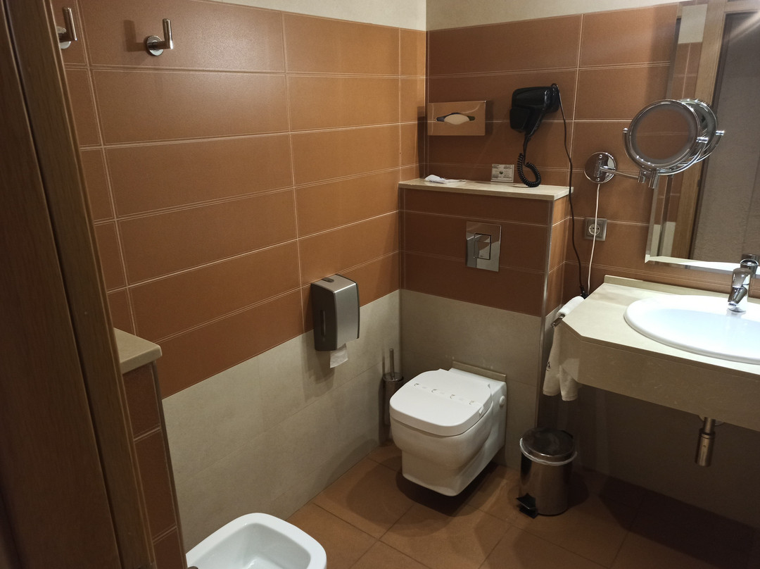 Hotel Felisa Spa主图