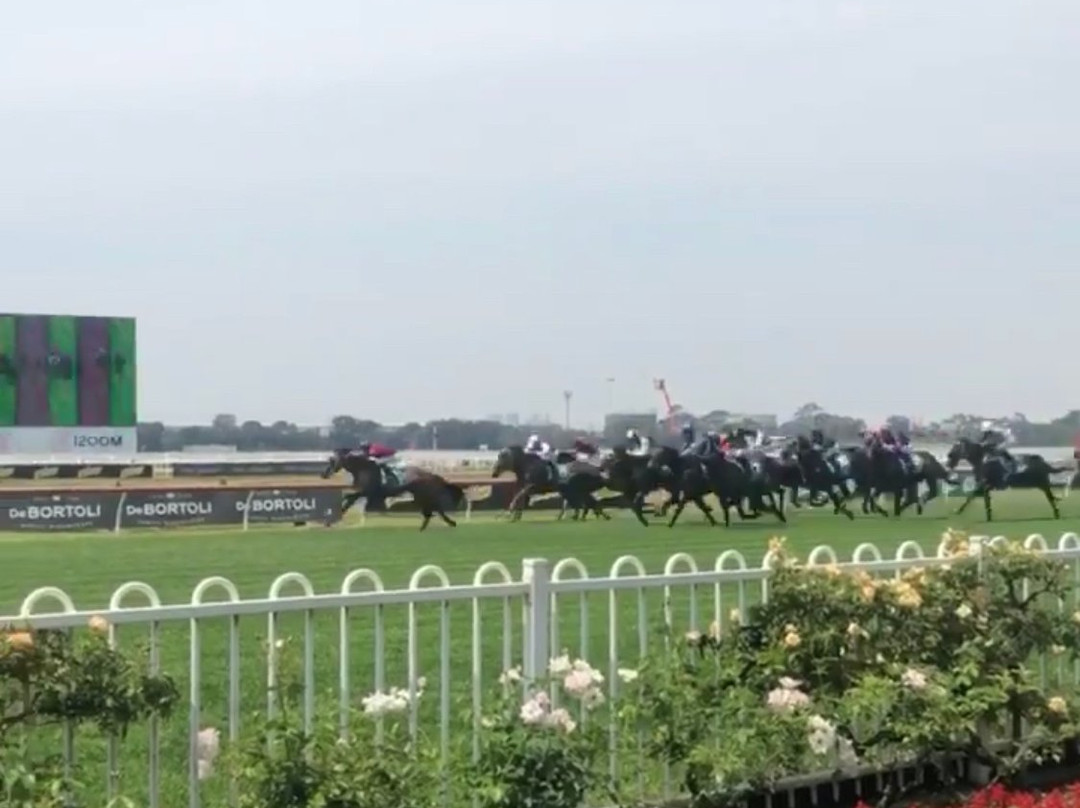 Rosehill Gardens Racecourse景点图片