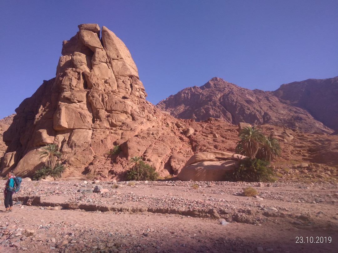 Ein Kid-达哈卜必去景点