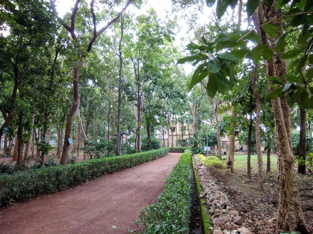 Debrigarh Wildlife Sanctuary景点图片