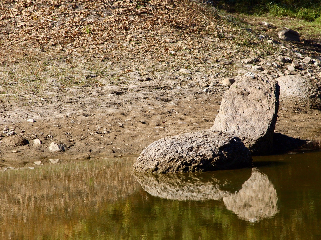 Omaya Eco Village主图