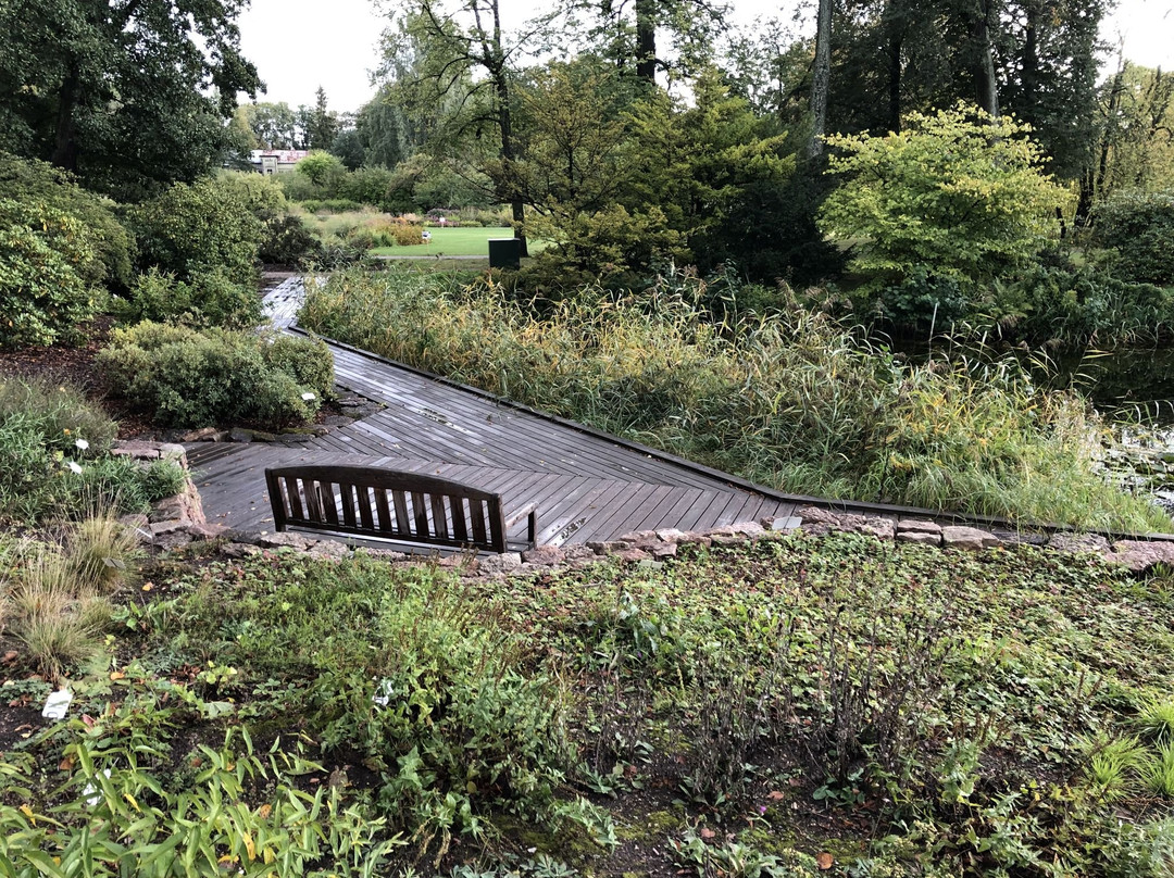 Botanisches Garten des Universitaets-里加必去景点