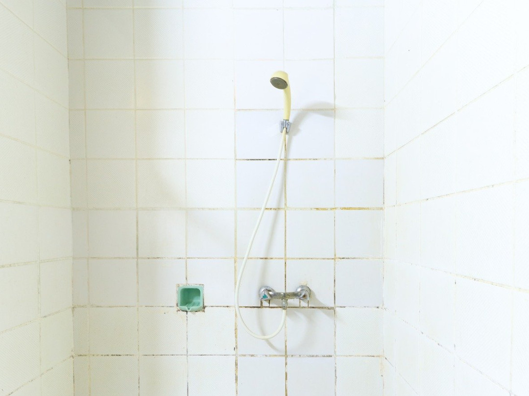 布迪曼饭店主图