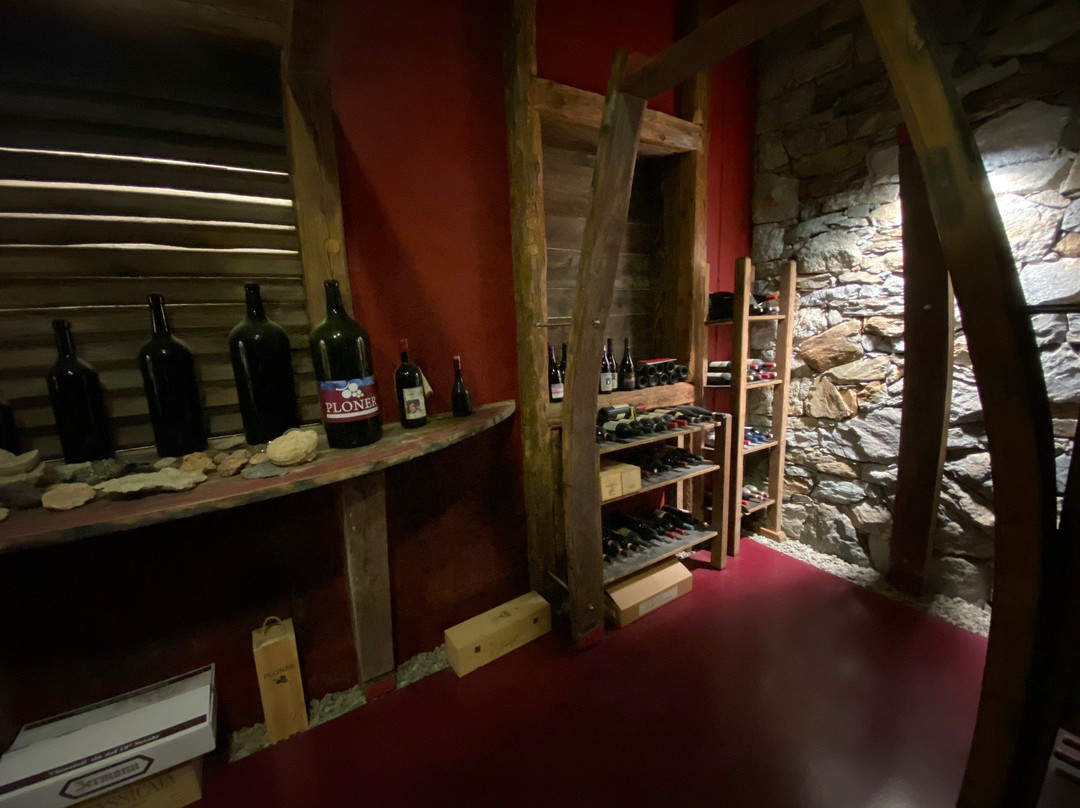 Weingut Plonerhof景点图片