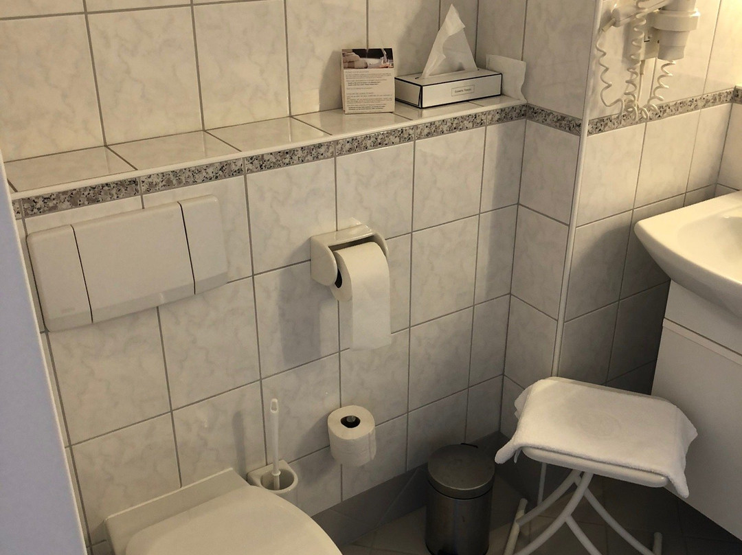 Parkhotel Styria主图