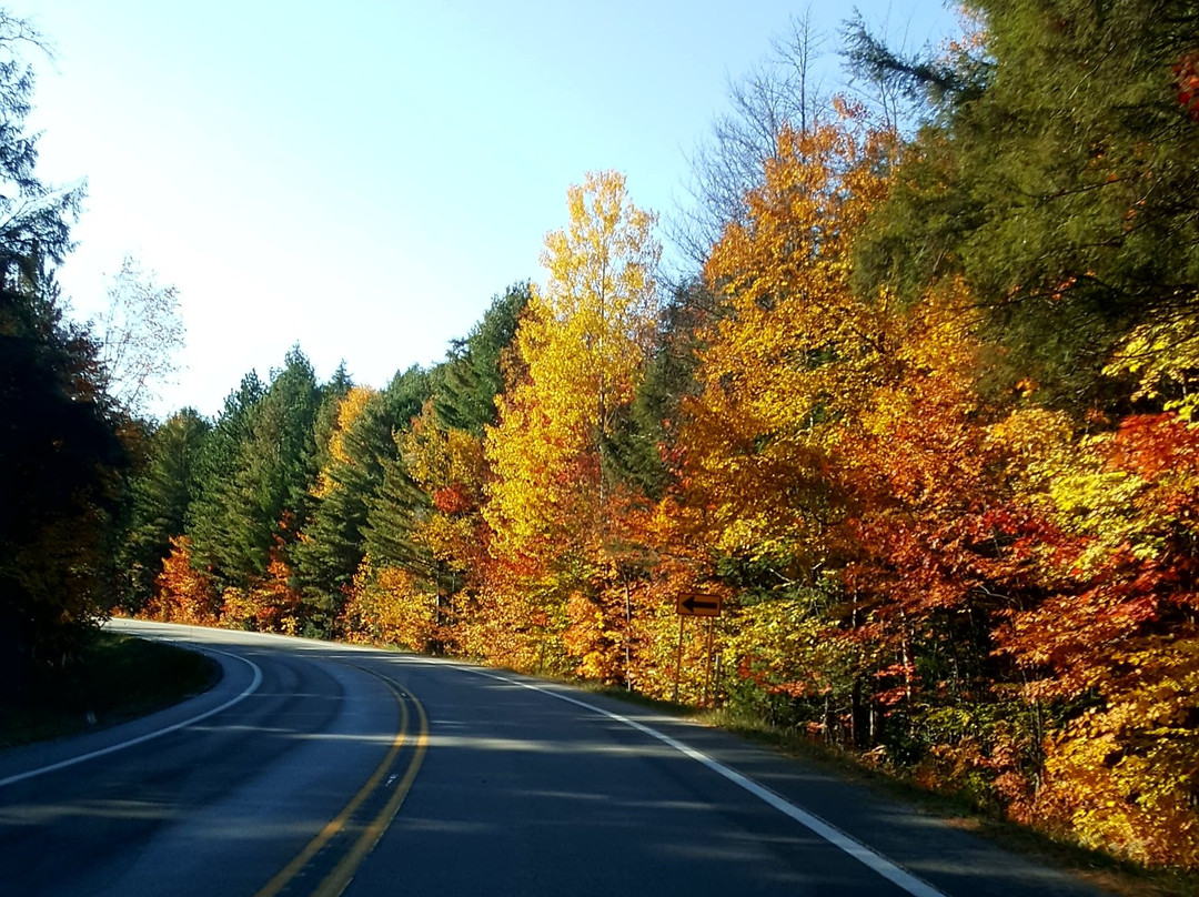 Tahquamenon Falls State Park景点图片
