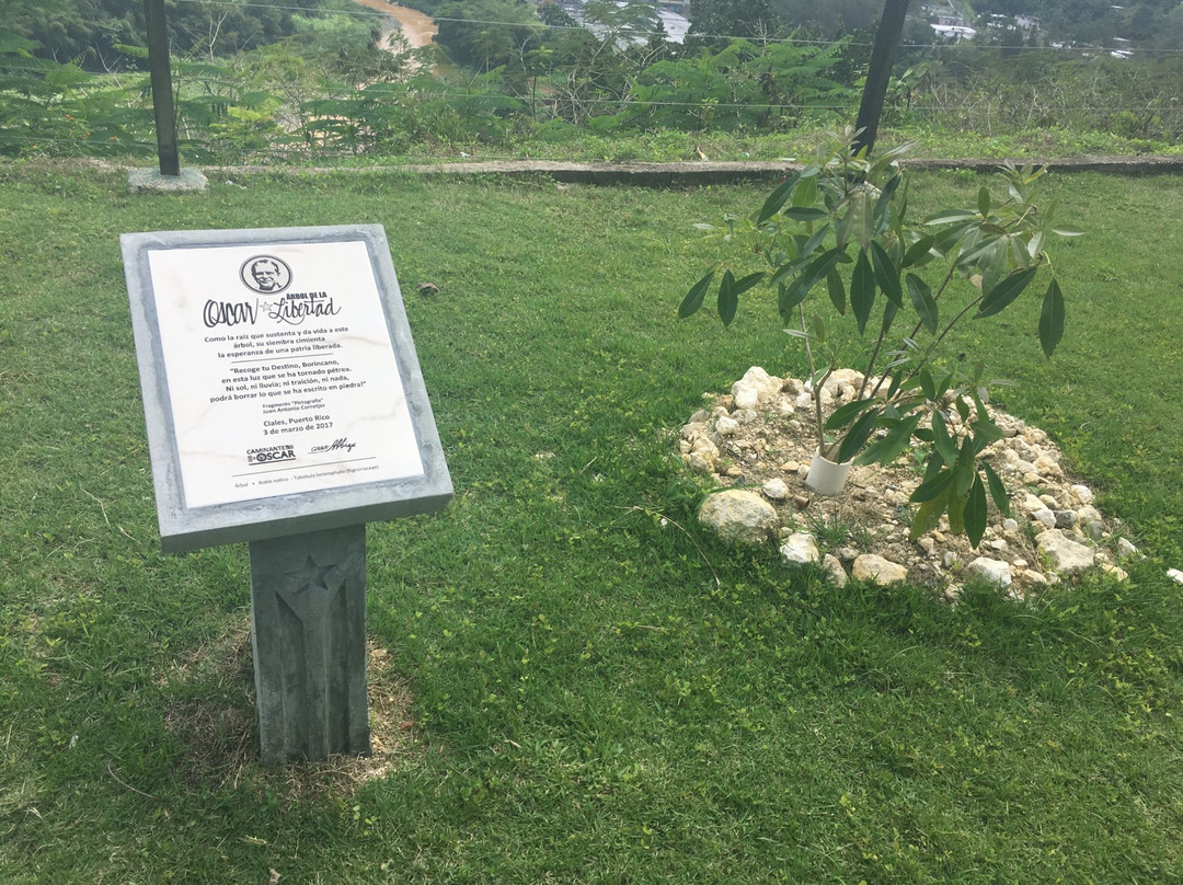 Ciales旅游景点-Juan Antonio Corretjer Park