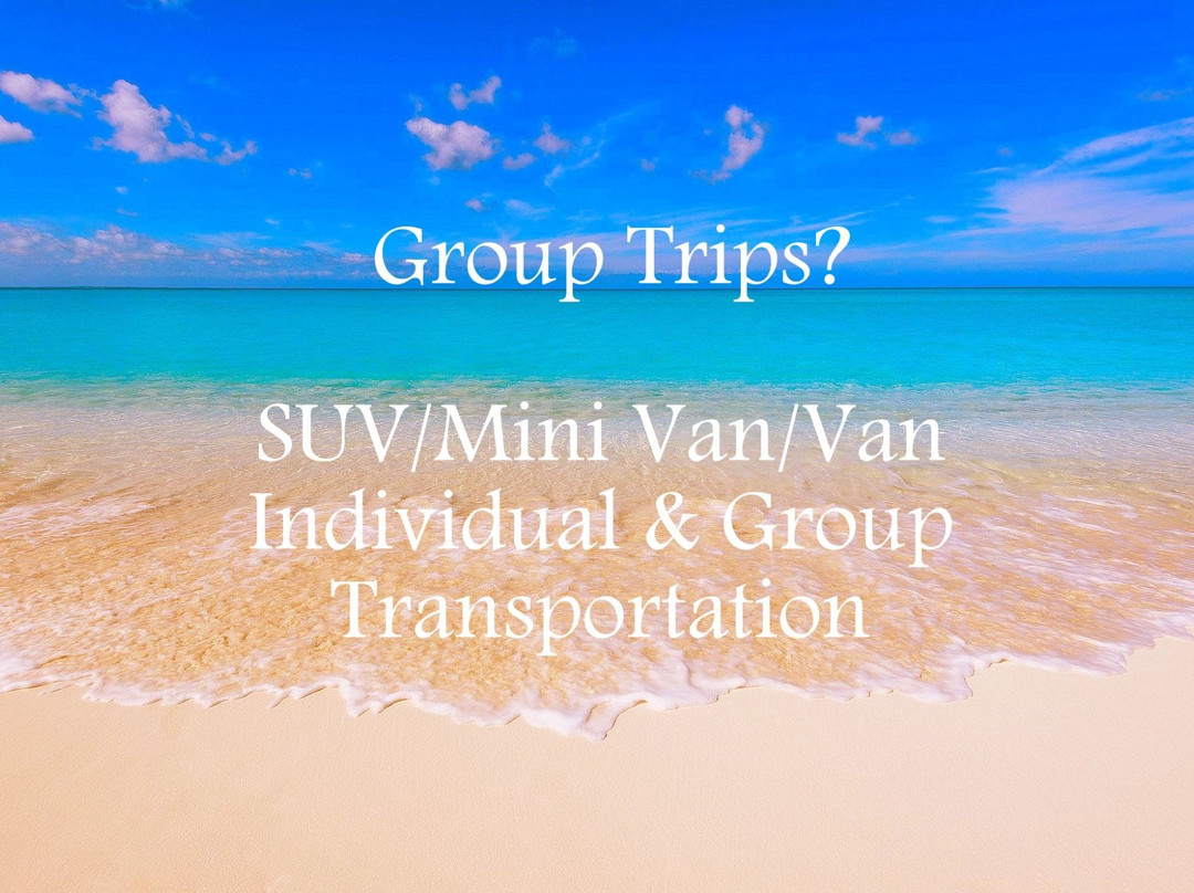 Unique Taxi & VIP Services-普罗维登西亚莱斯必去景点