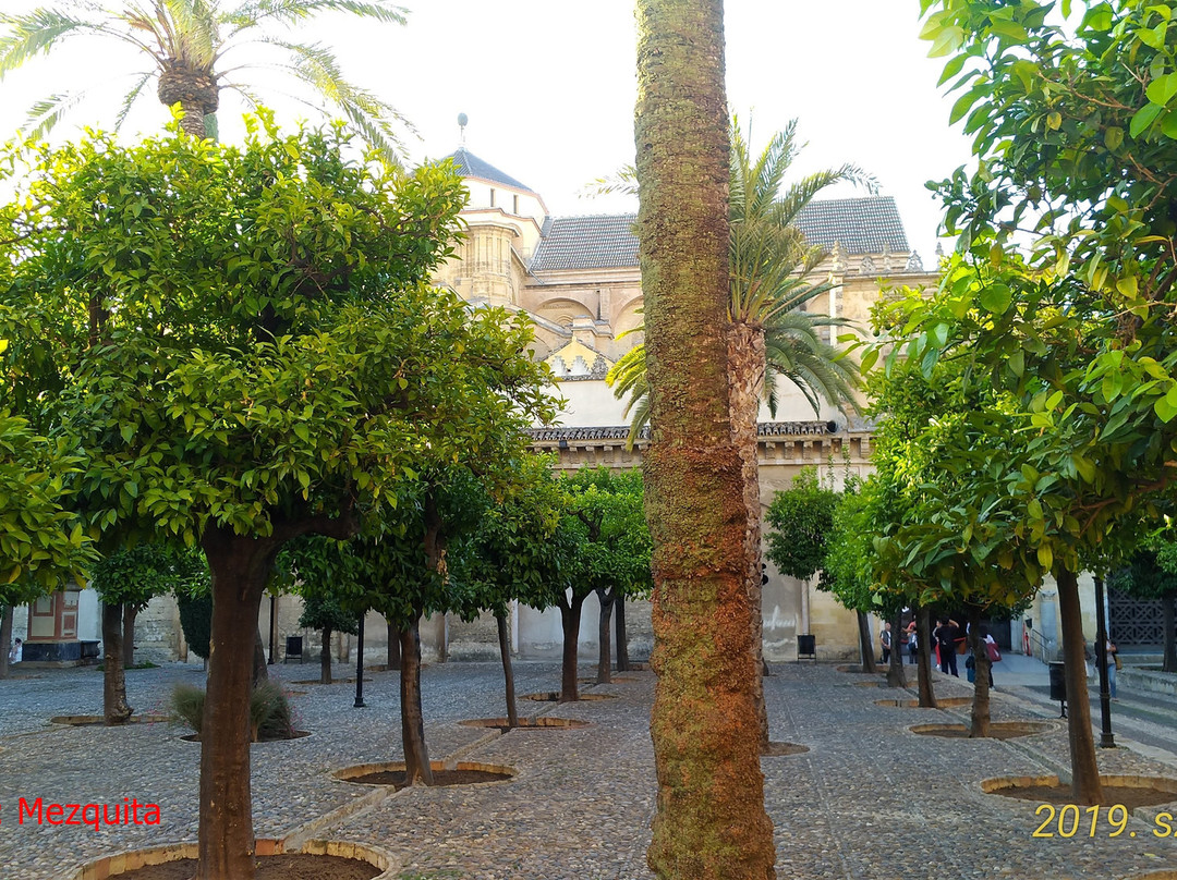 Patio de los Naranjos景点图片