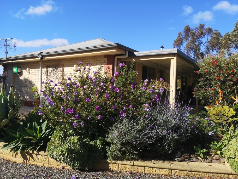 Austiny Bed and Breakfast Accommodation主图