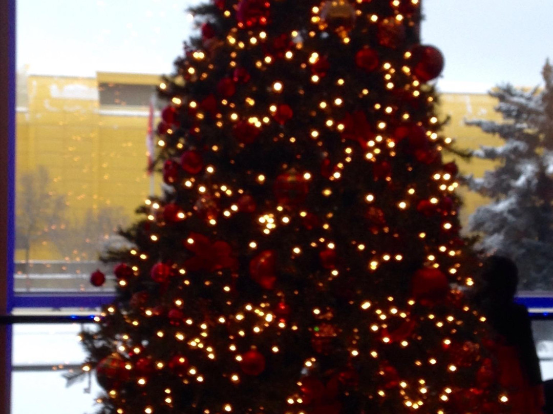 Northern Jubilee Auditorium-埃德蒙顿必去景点