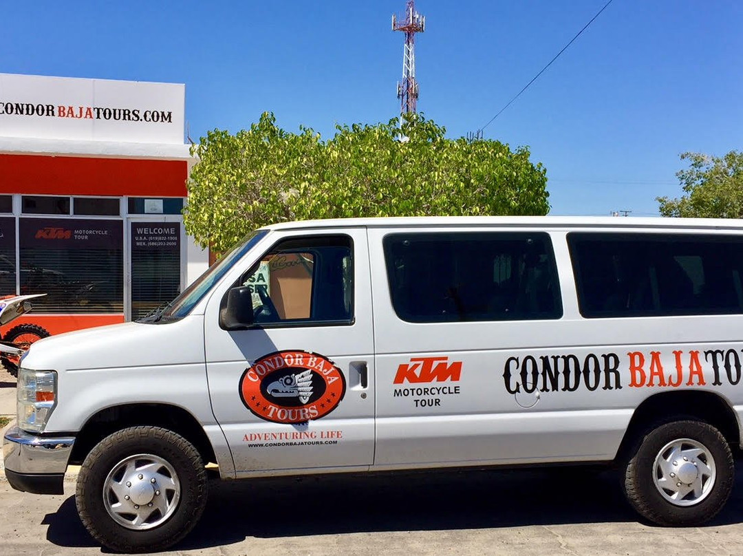 Condor Baja Tours景点图片