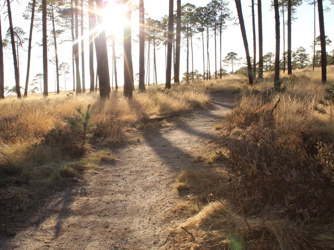 El Tecuan National Park景点图片