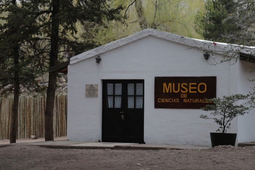 Museo Municipal de Ciencias Naturales "Ñandú"景点图片