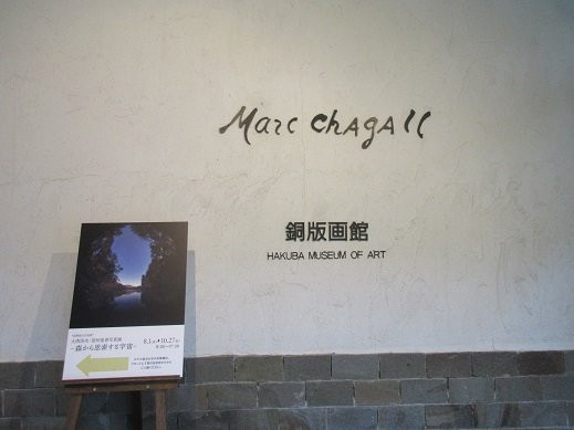 Hakuba Art Museum景点图片