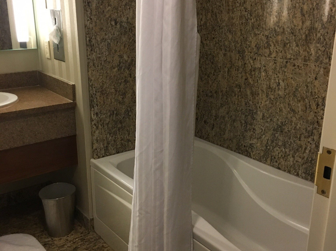 Radisson Plaza Hotel at Kalamazoo Center主图