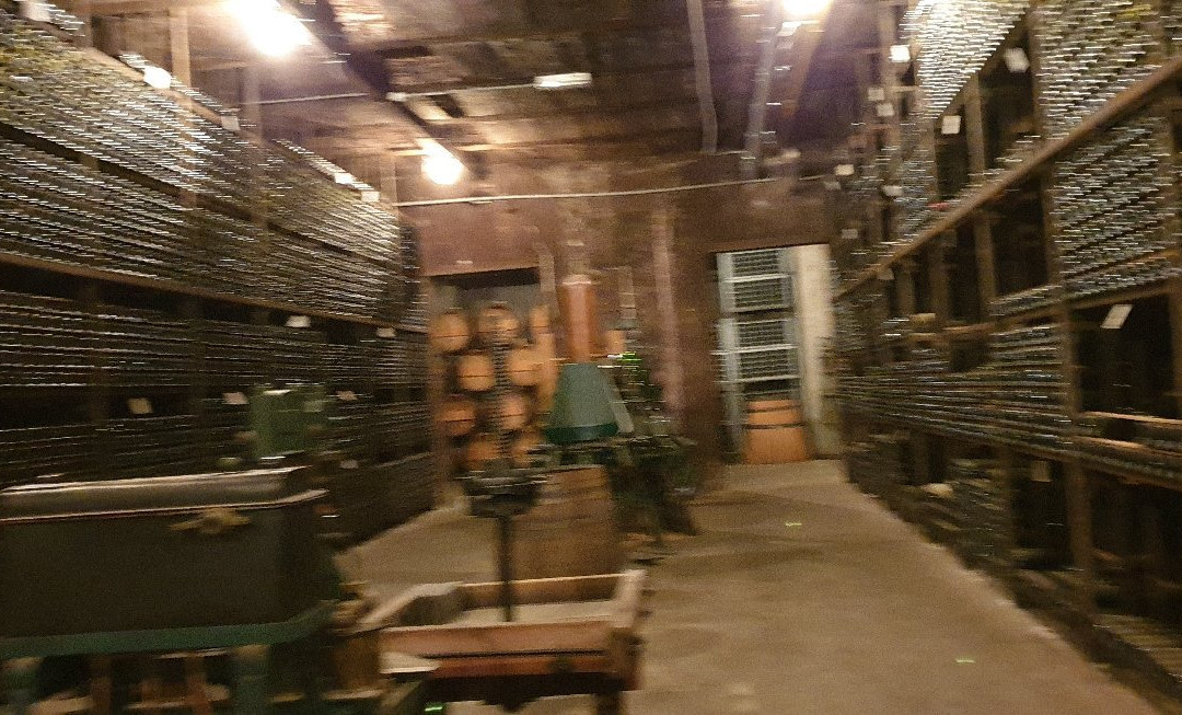 Winery Robbers & Van Den Hoogen景点图片