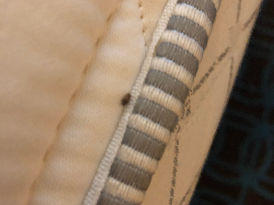 兰辛西费尔菲尔德客栈主图