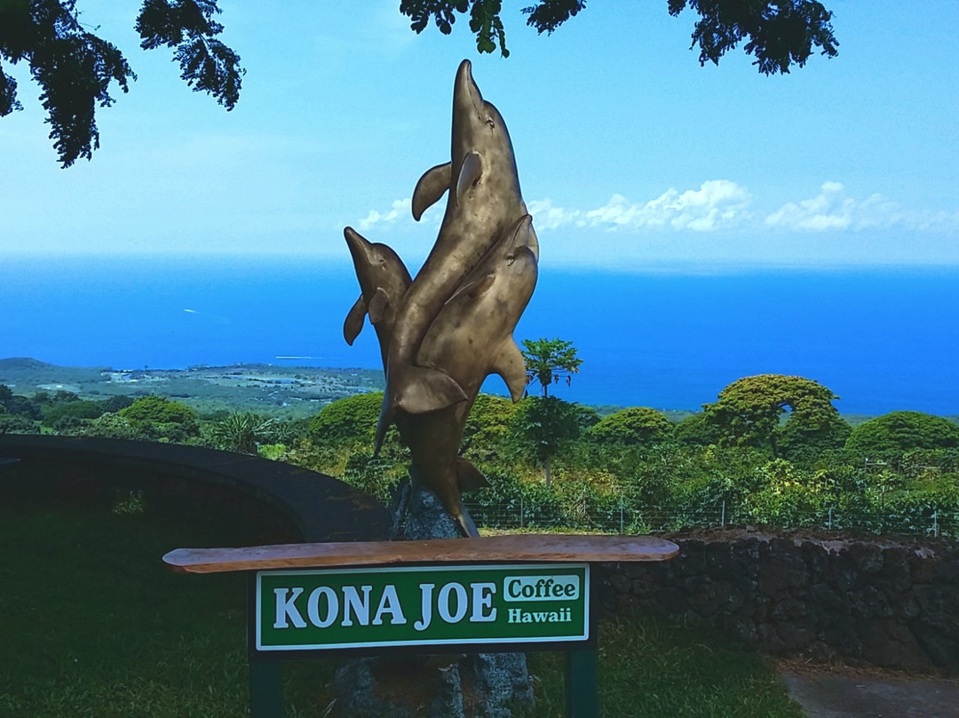 基亚拉凯库亚旅游景点-科纳杰咖啡