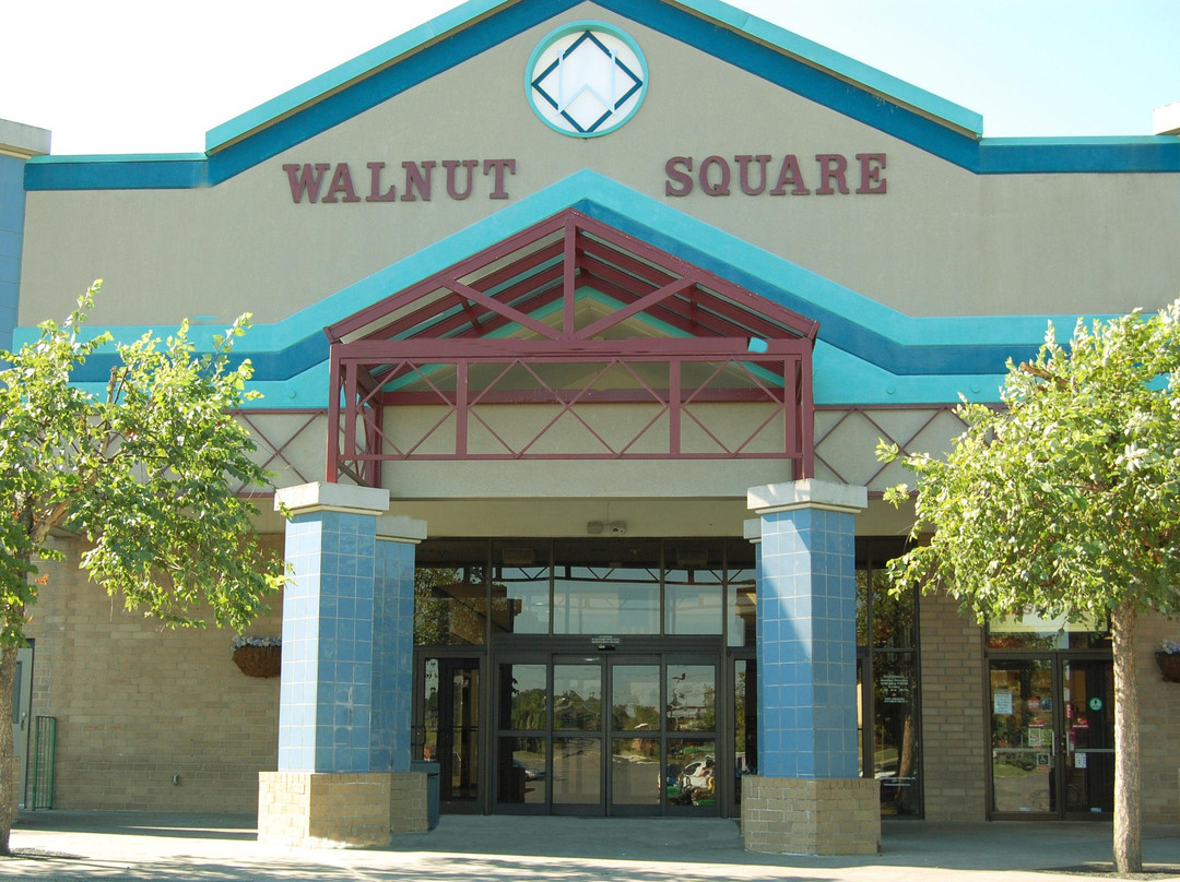 Walnut Square Mall景点图片