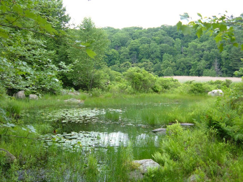 Gilmer County旅游攻略图片