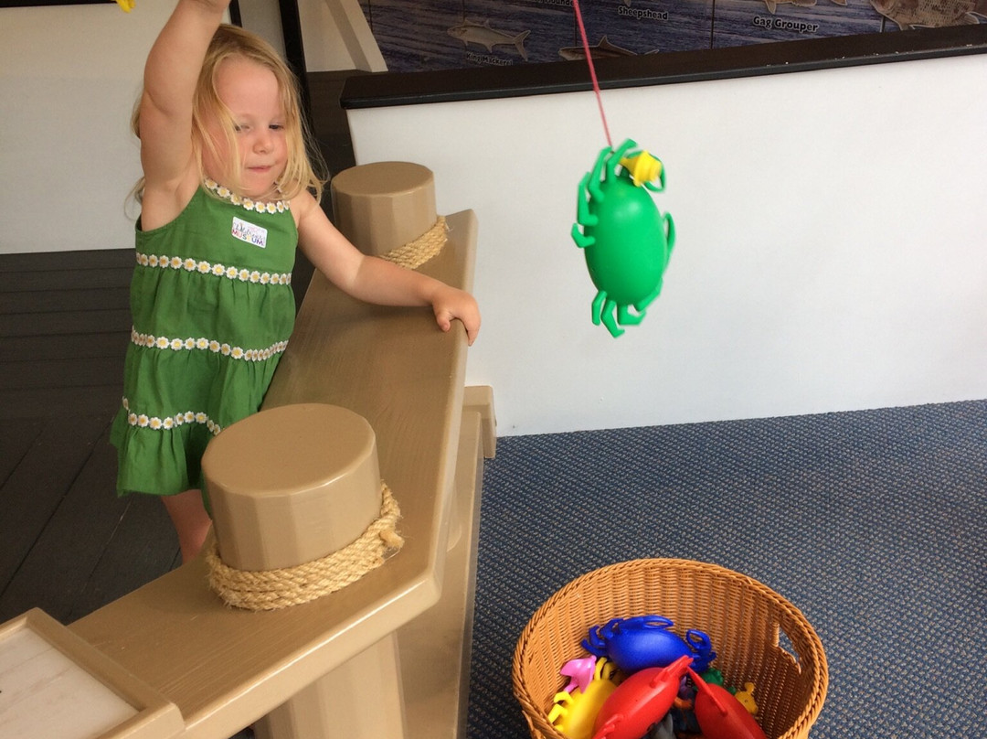 Children's Museum Of Pooler