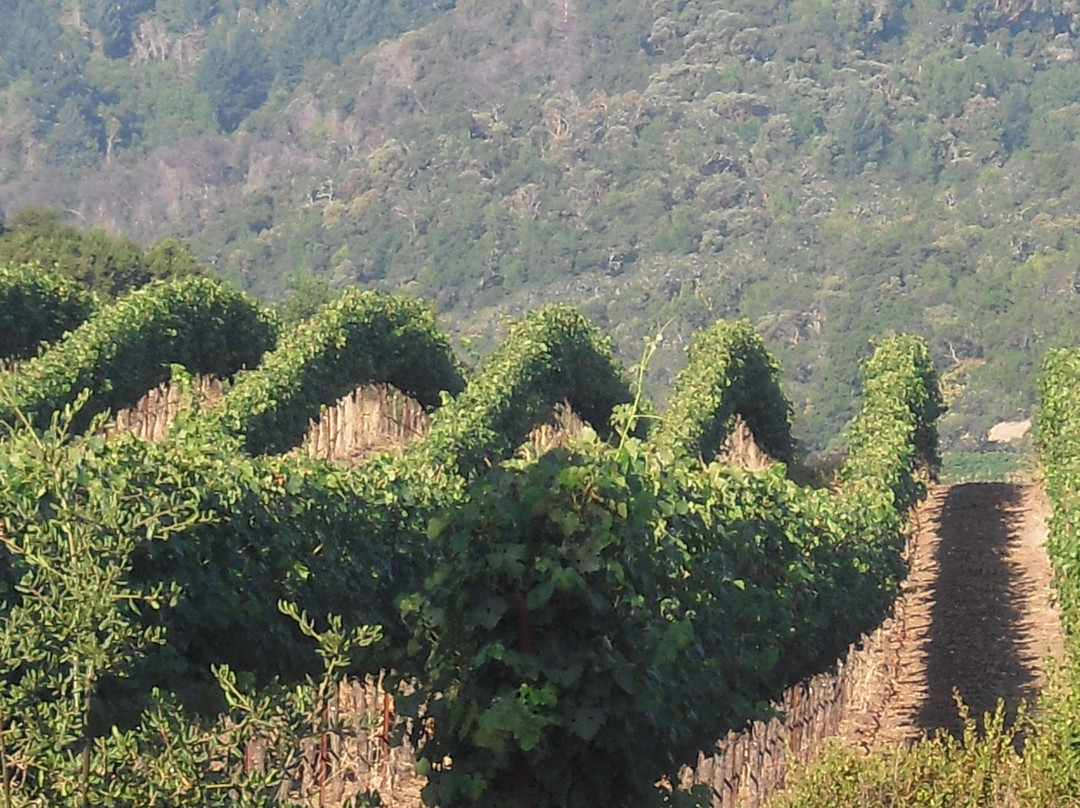 Main Street Drivers-斯坦福必去景点